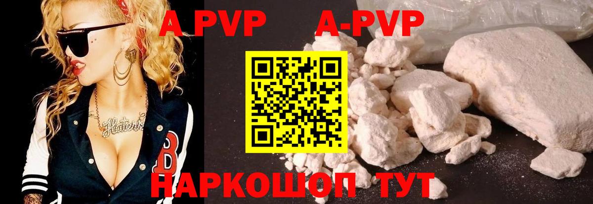 A PVP СК Губкин