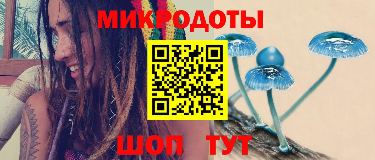 Галлюциногенные грибы мицелий Губкин